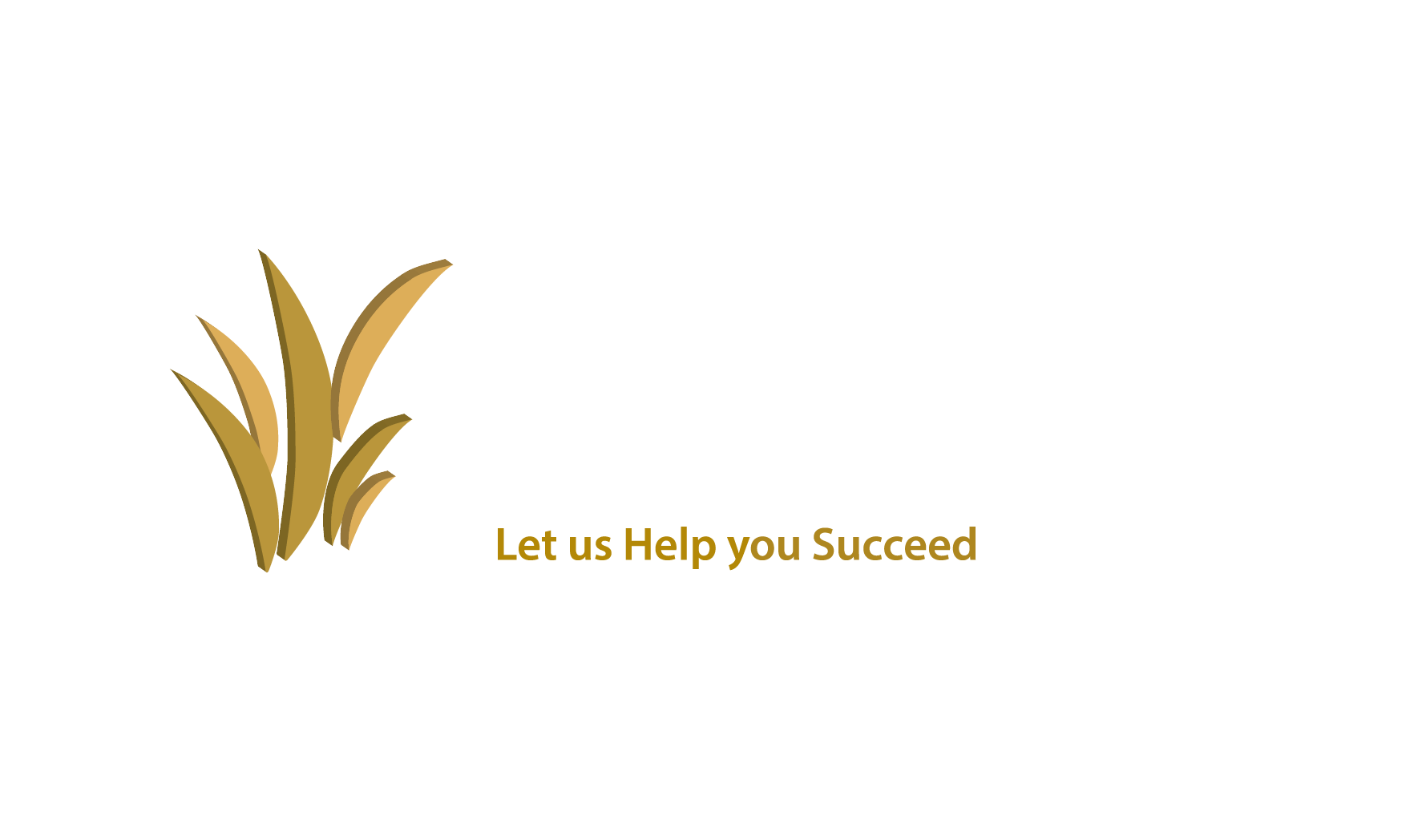 My Company Logo